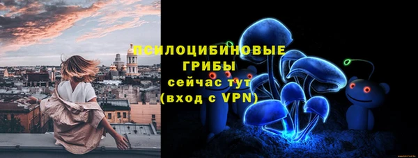 ПСИЛОЦИБИНОВЫЕ ГРИБЫ Новодвинск