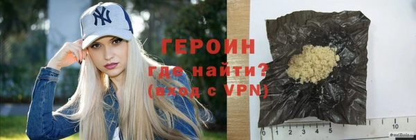 прущие грибы Новозыбков