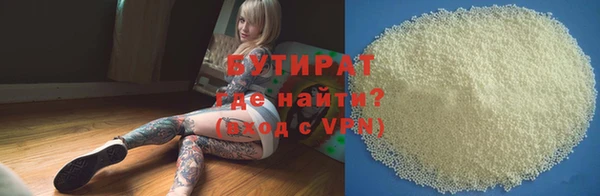прущие грибы Новозыбков