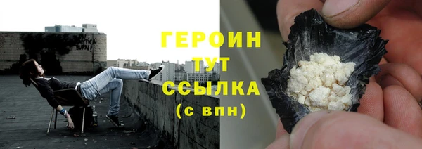 прущие грибы Новозыбков