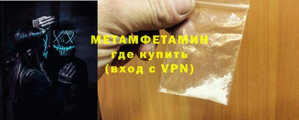 прущие грибы Новозыбков
