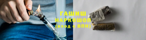 прущие грибы Новозыбков