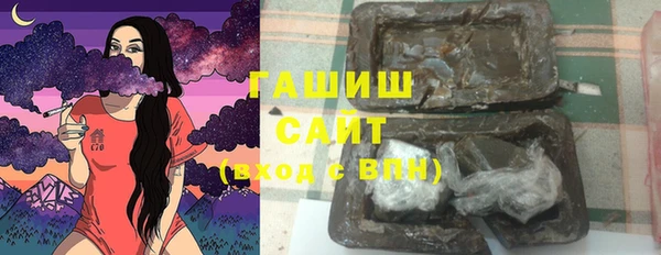 прущие грибы Новозыбков