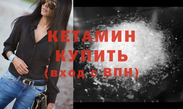 прущие грибы Новозыбков