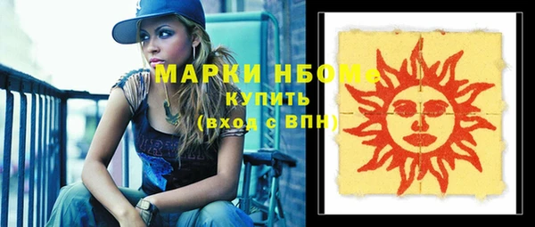 прущие грибы Новозыбков