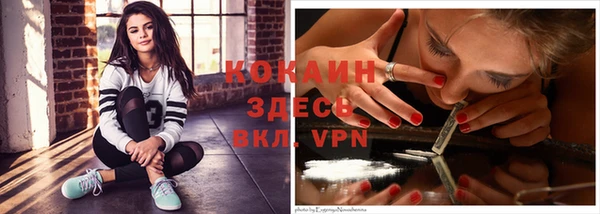 ПСИЛОЦИБИНОВЫЕ ГРИБЫ Новодвинск